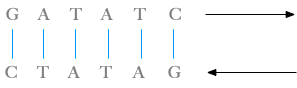 DNA palindrome